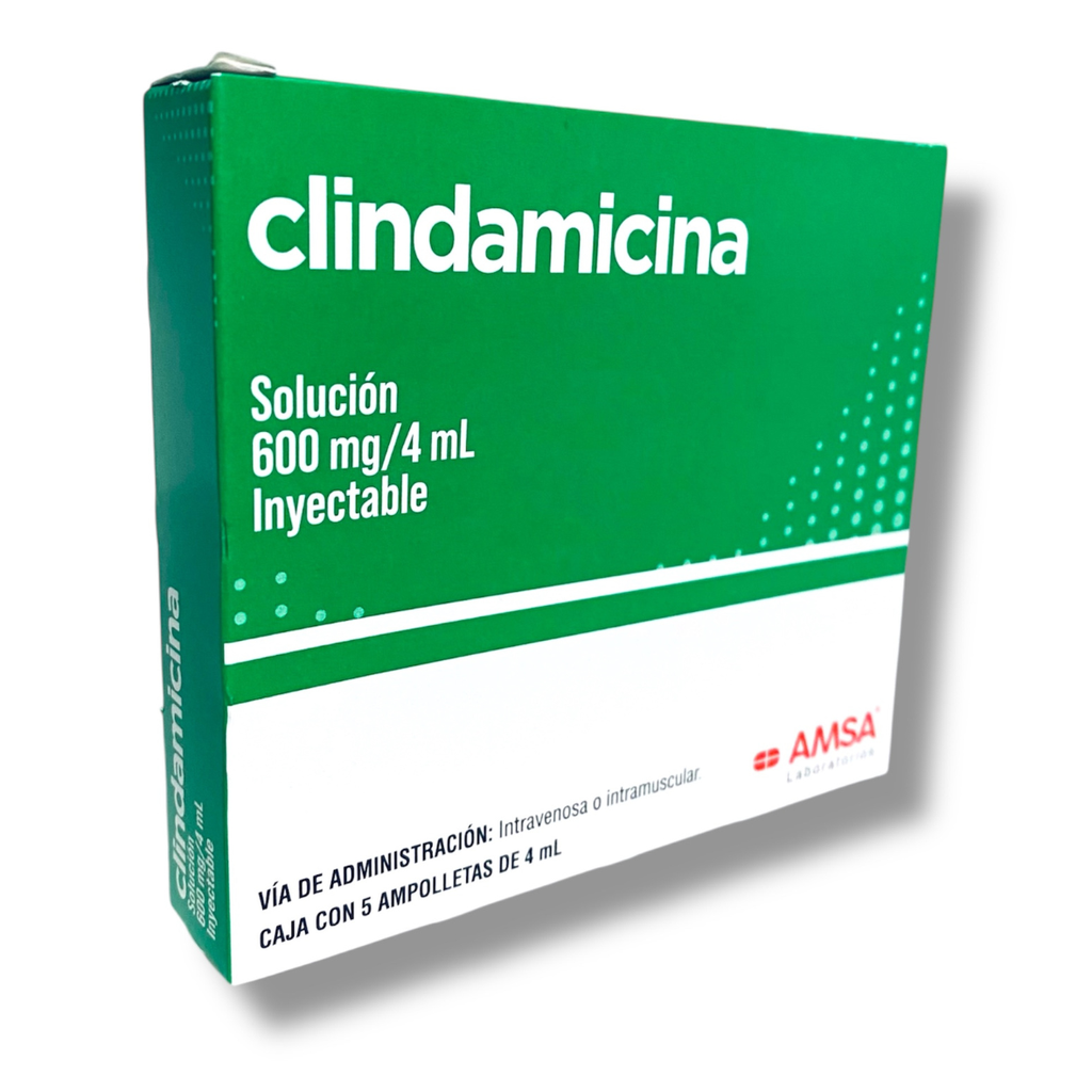 CLINDAMICINA SOL INY 600 MG/4 ML C/5 AMP LAB AMSA