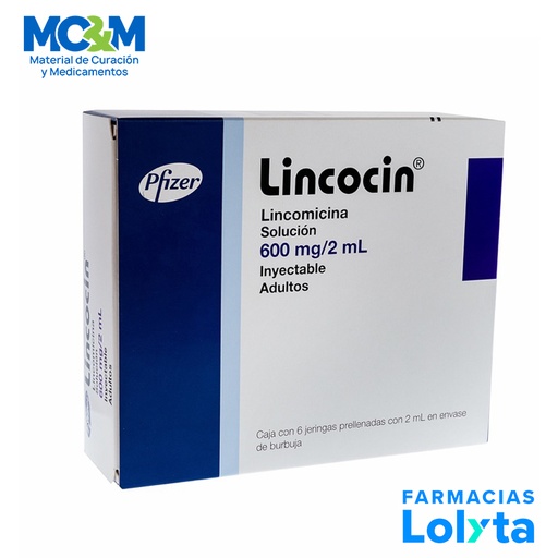 [279] LINCOCIN SOL INY 600 MG/2 ML C/6 JGA PRELLENADA LINCOMICINA LAB PFIZER